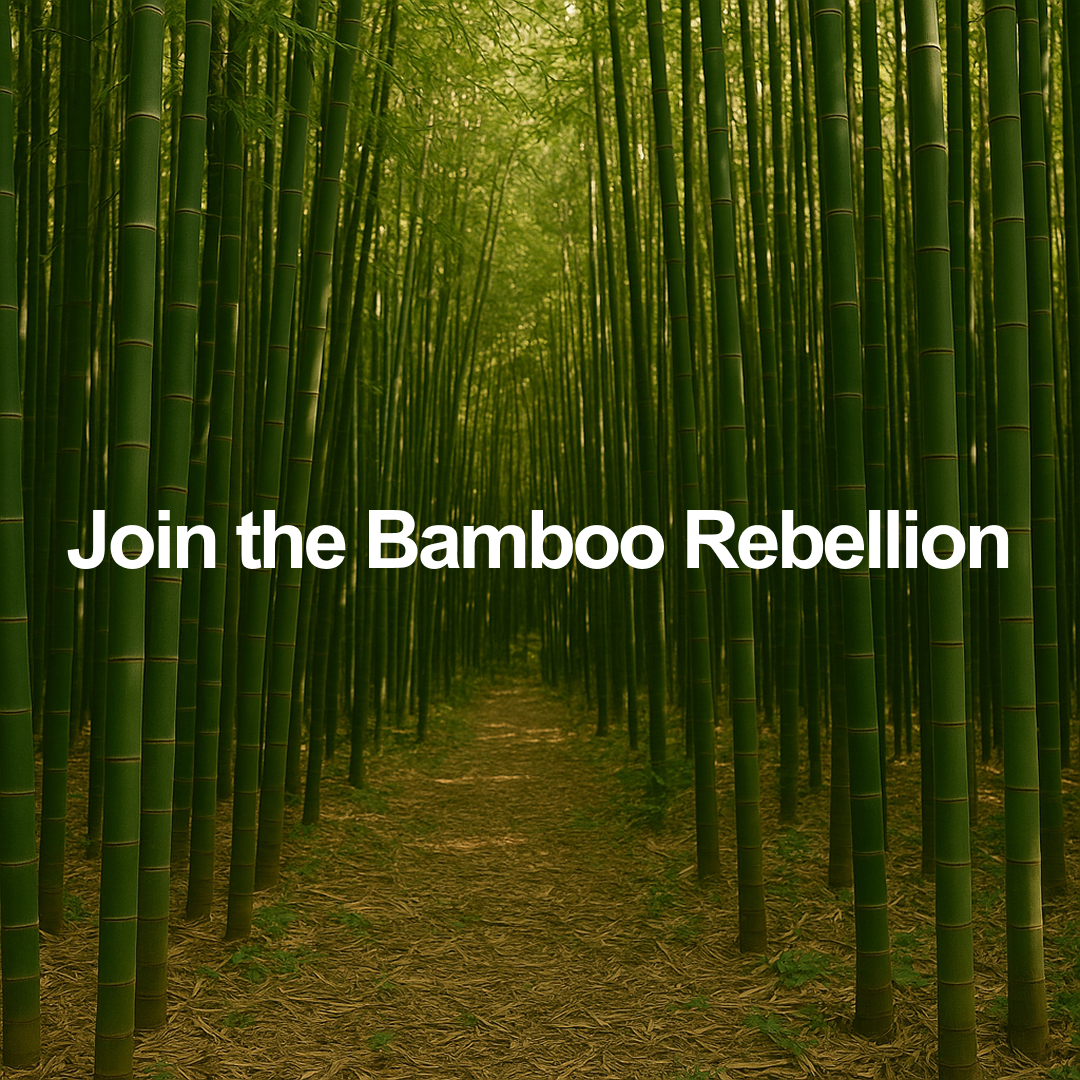 Bamboo Bed Set by Bedly